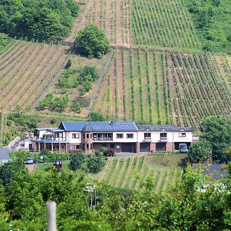 Urlaubsweingut Zecherhof Neef Extérieur photo