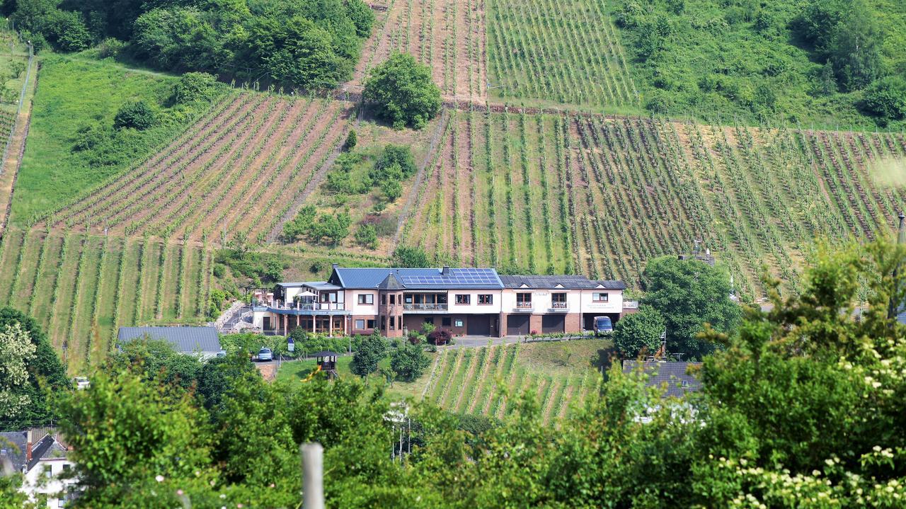 Urlaubsweingut Zecherhof Neef Extérieur photo
