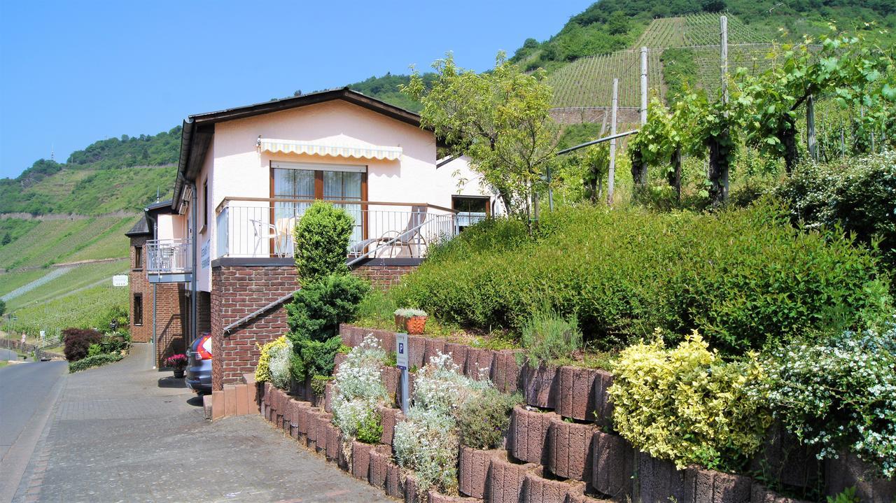 Urlaubsweingut Zecherhof Neef Extérieur photo